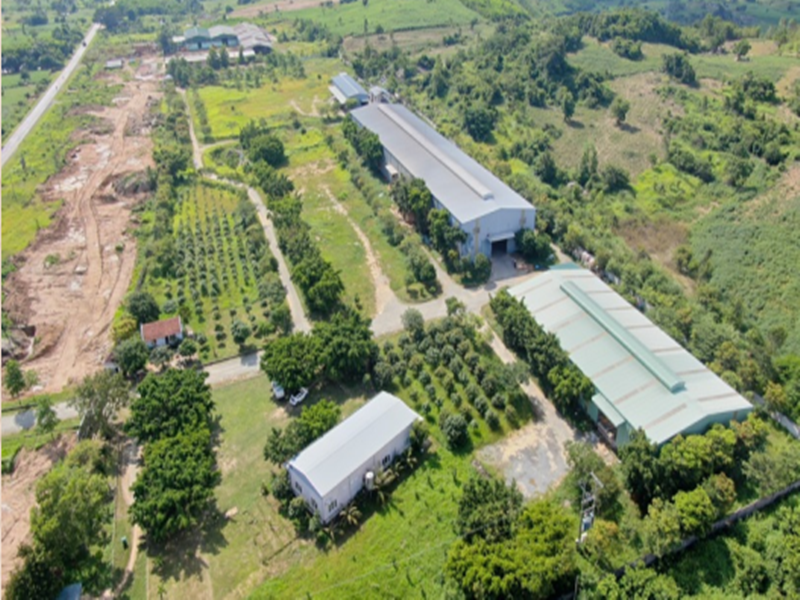 Chuyển nhượng 4,3ha nhà máy sản xuất gỗ tại Đắk Lắk